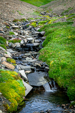 Stream on way up to Loma del Pliegue Tumbado
