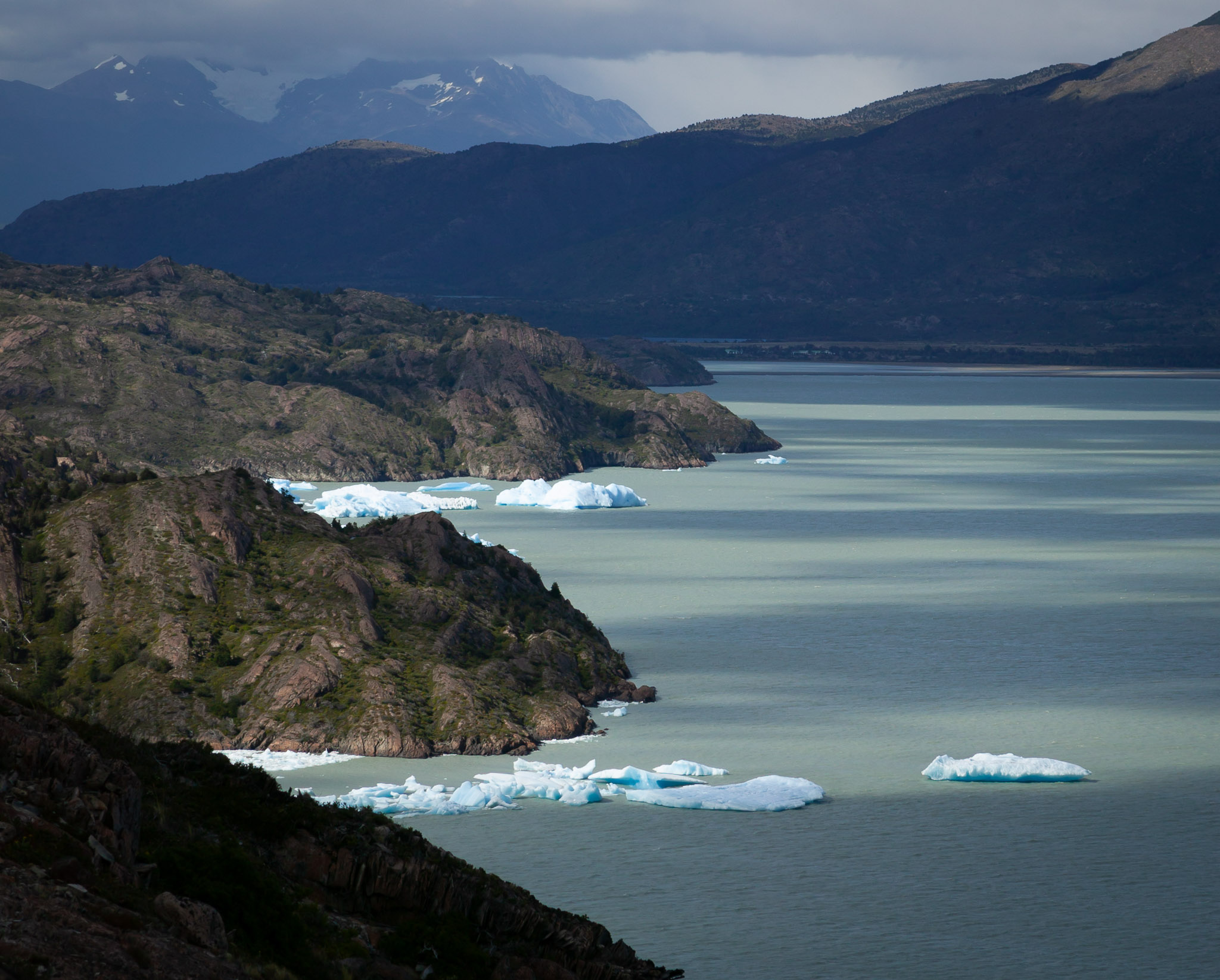 Lago Grey, icebergs from Glaciar Grey