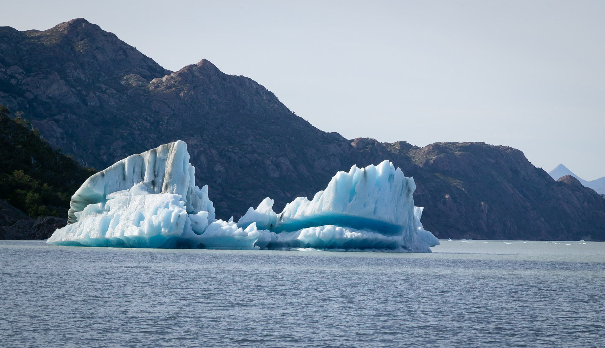 Icebergs on Lago Grey