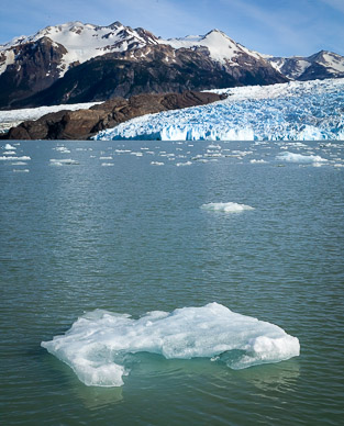 Glaciar & Lago Grey