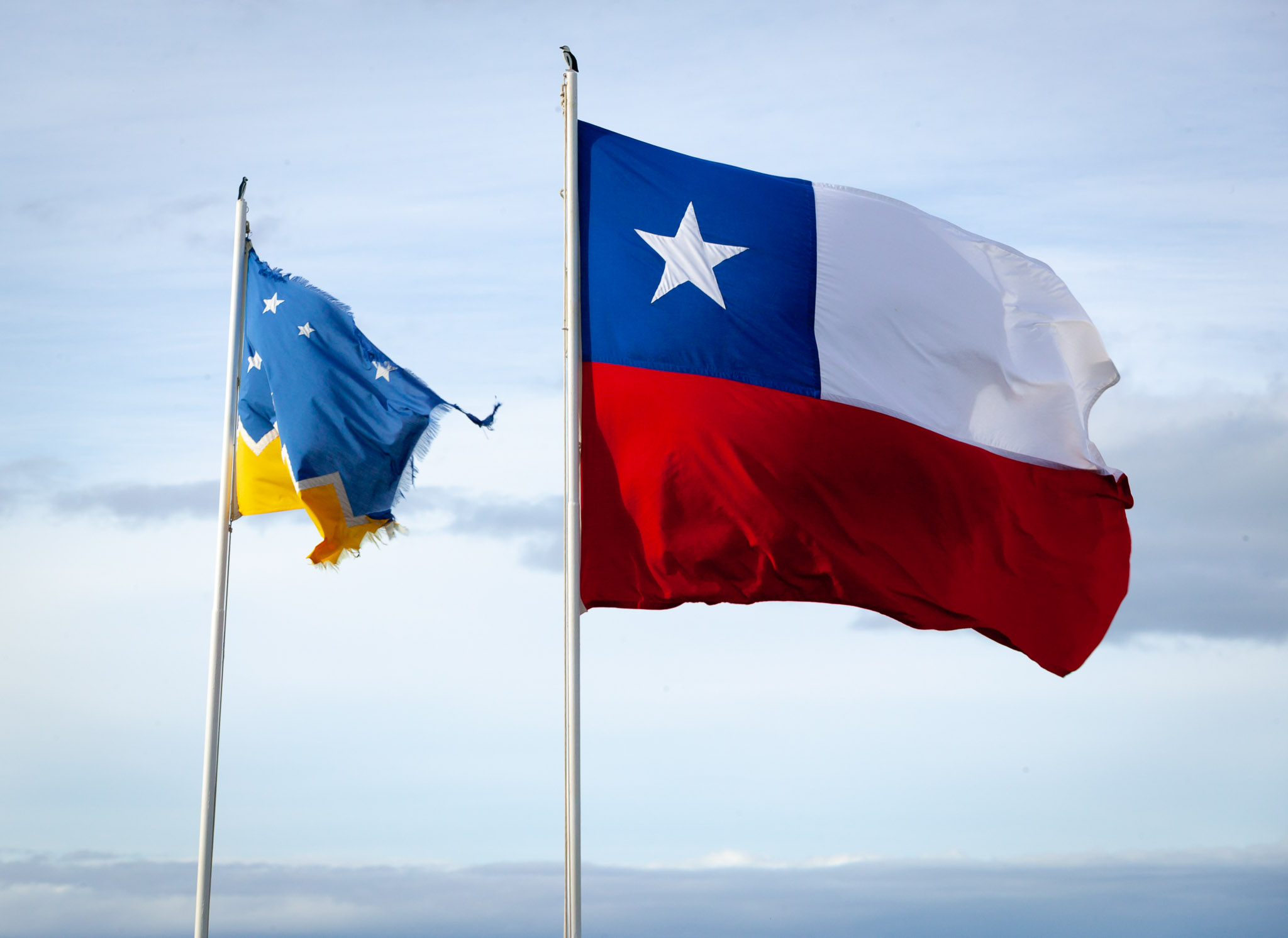 Patagonia & Chilean flags on Isla Magdalena