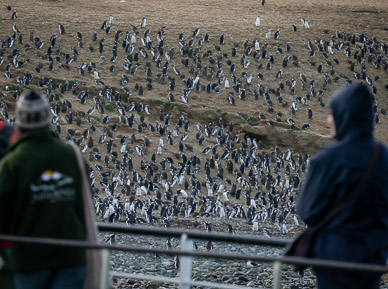 Arriving at Isla Magdalena, Monumento Natural Los Pinguinos