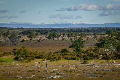 Bus trip back to Puerto Natales