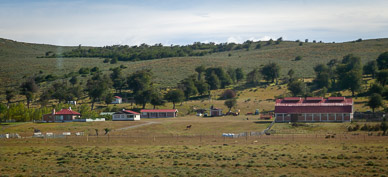 Estancia (saw many during trip, only one picture)