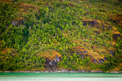 Lush vegetation and lots of water