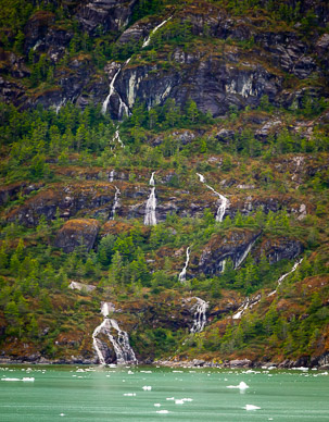 Lush vegetation and lots of water
