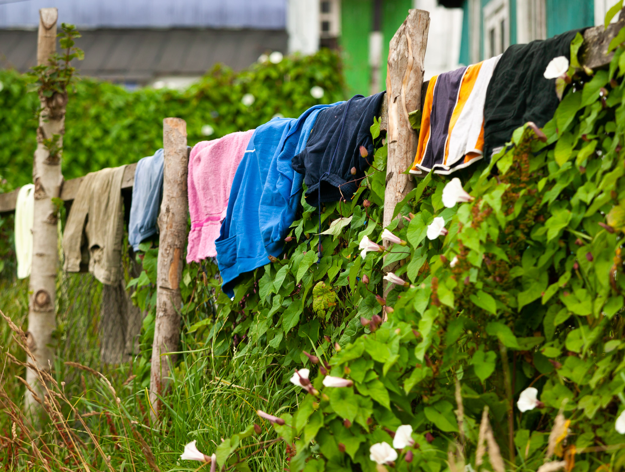 Laundry in Castro