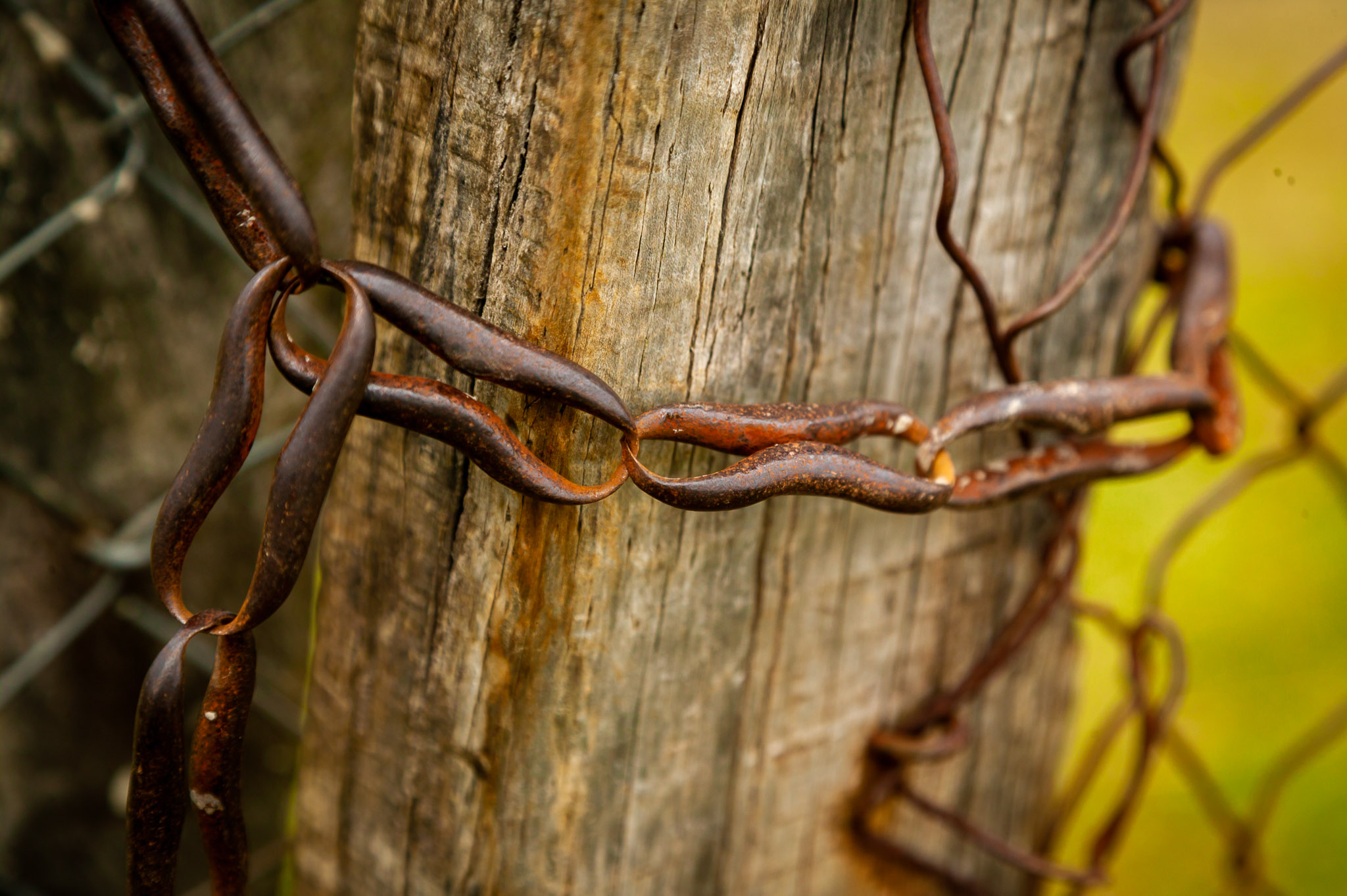 Rusting chain on Chiloe Island
