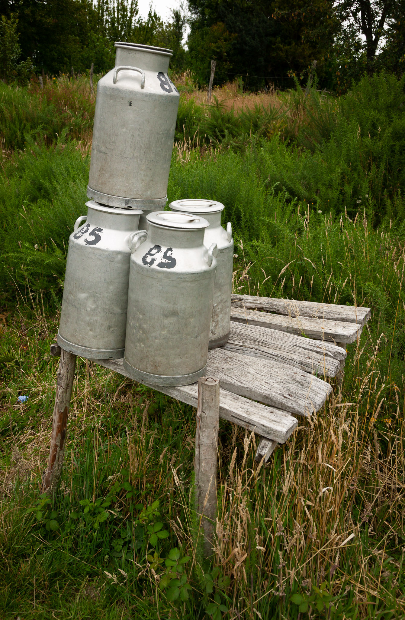 Dairy cans awaiting pickup on side of Chiloe  road
