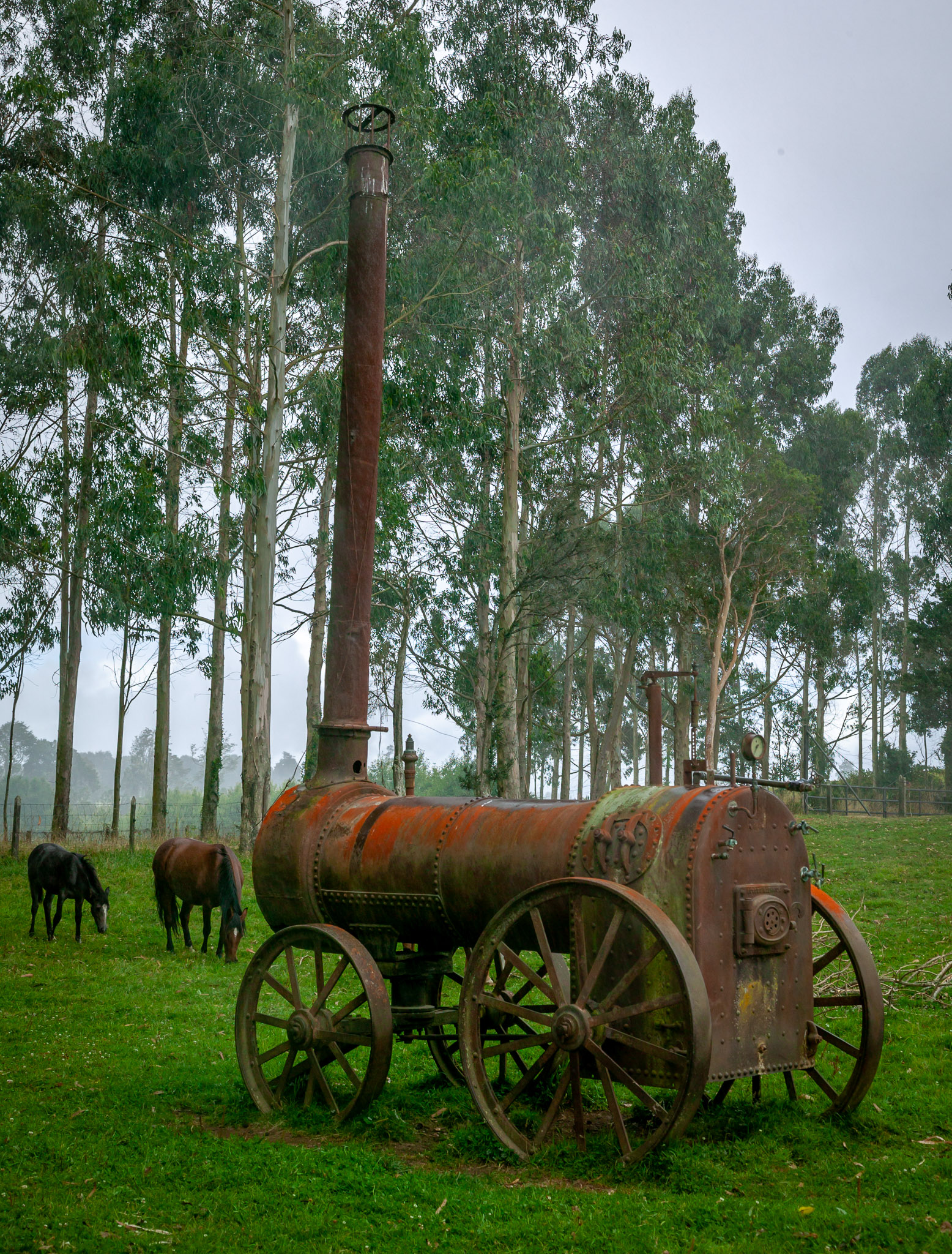 Antique farm equipment near Quianto, between Puerto Varas & Villarrica