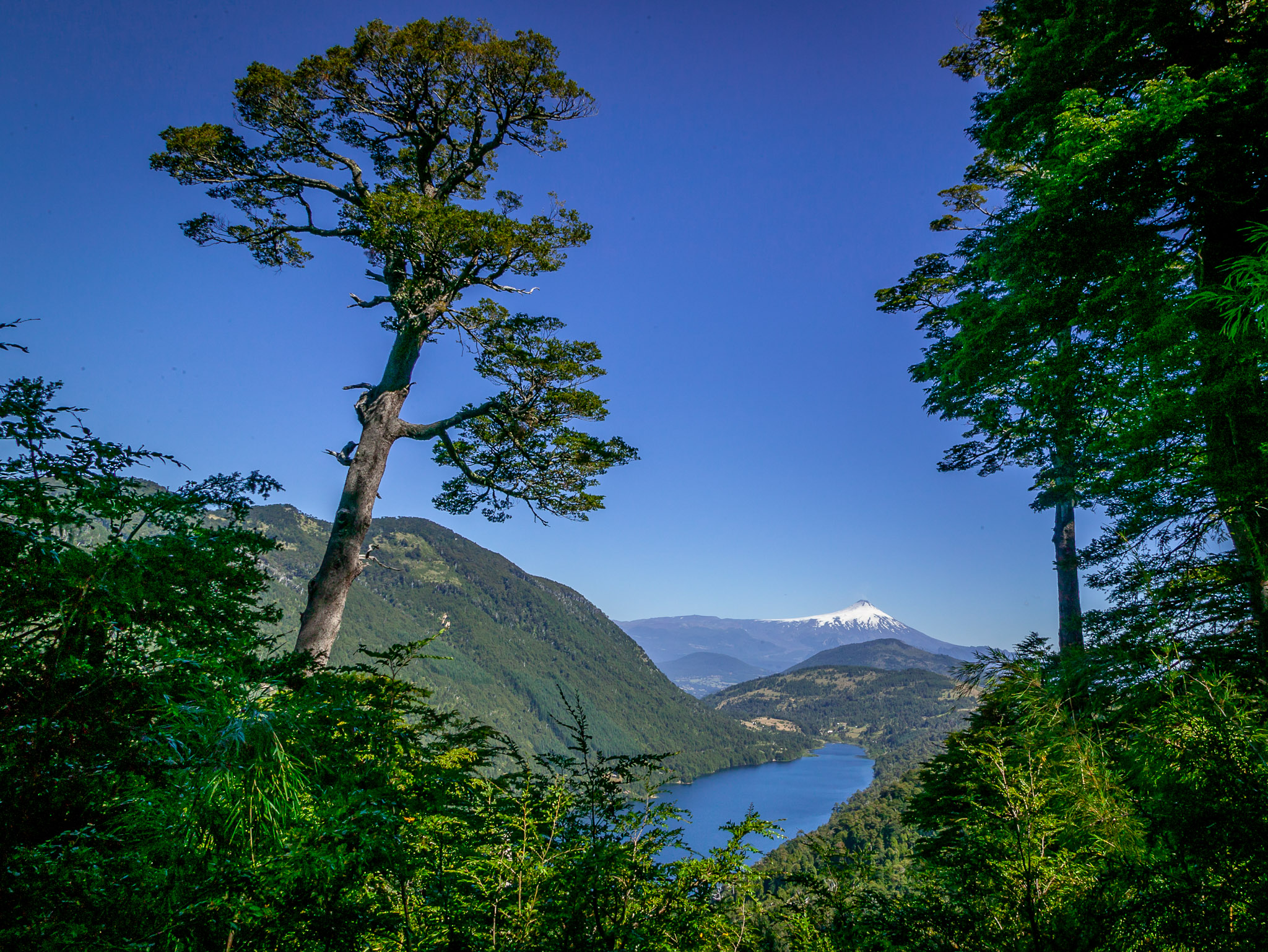 Lago Tinquilco & Volcan Villarrica, Parque Nacional Huerquehue