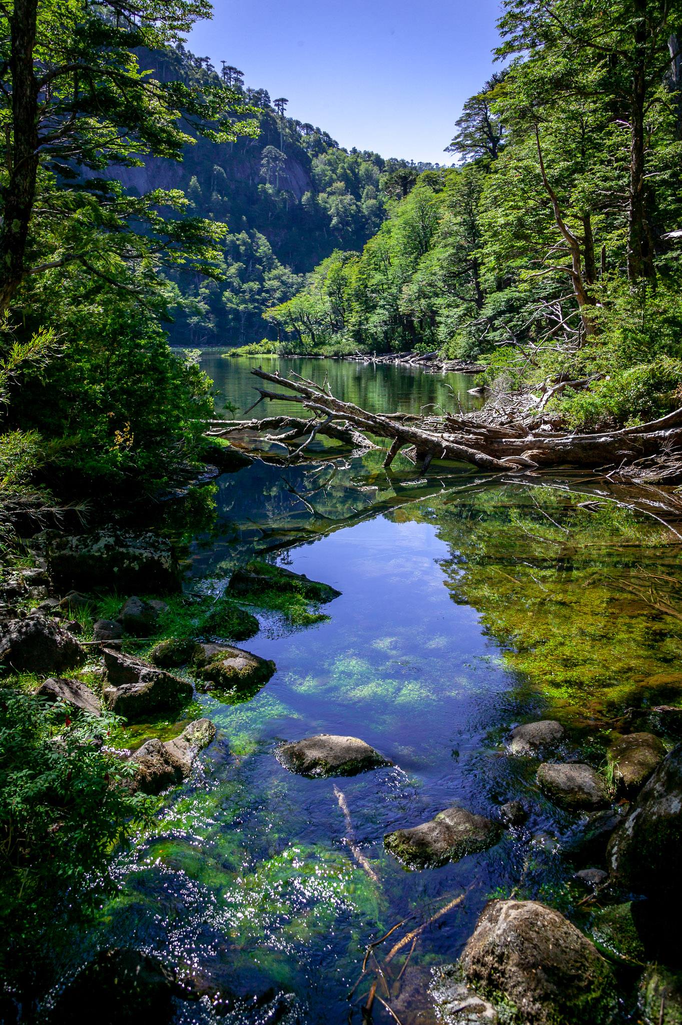 First lake, Lago Chico, in Parque Nacional Huerquehue