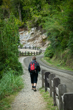 Walking to Peulla hotel for lunch