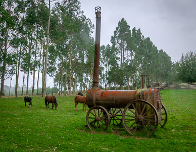 Antique farm equipment near Quianto, between Puerto Varas & Villarrica