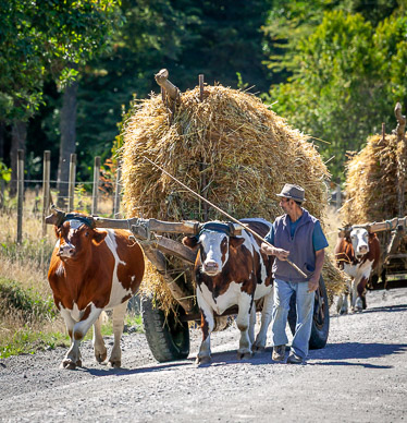 Sights on drive to Termas Geometricas