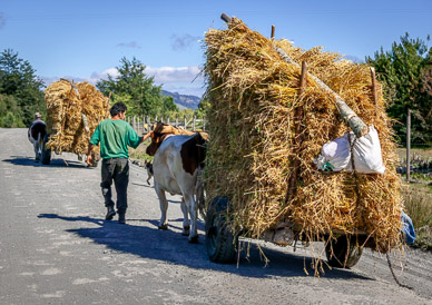 Sights on drive to Termas Geometricas
