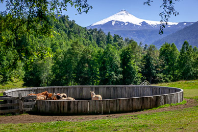 Corral on drive to Termas Geometricas