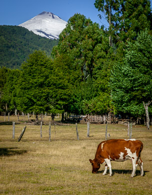 Volcan Villarrica, on drive to visit waterfalls