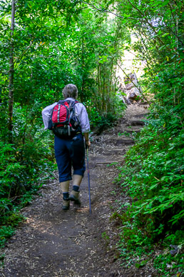 Part of the 1500' climb, Parque Nacional Huerquehue