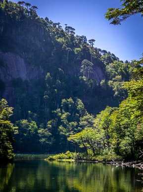 Lago Chico, Parque Nacional Huerquehue