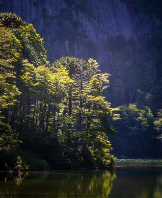 Lago Chico, Parque Nacional Huerquehue