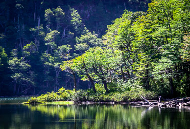 Lago Chico, Parque Nacional Huerquehue