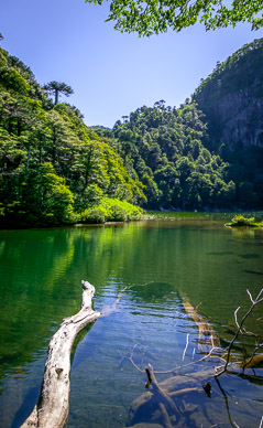 Lago Chico, Parque Nacional Huerquehue