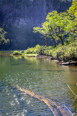 Lago Chico, Parque Nacional Huerquehue