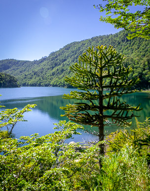 Lago Verde, Parque Nacional Huerquehue