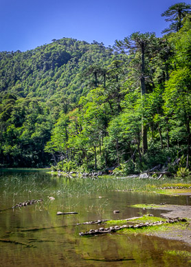 Lago Verde, Parque Nacional Huerquehue