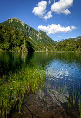 Lago Toro, Parque Nacional Huerquehue