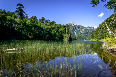 Lago Toro, Parque Nacional Huerquehue