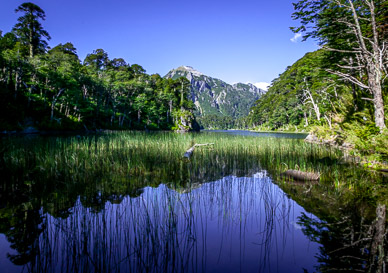 Lago Toro, Parque Nacional Huerquehue