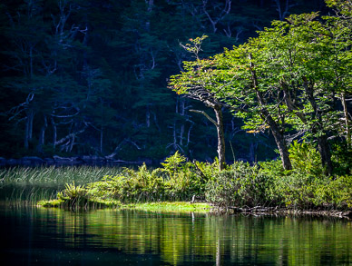Lago Chico, Parque Nacional Huerquehue