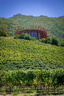 Lapostolle Clos Apalta Winery, Colchagua Valley