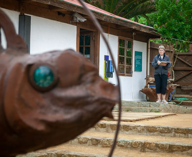 Pablo Neruda's house at Isla Negra