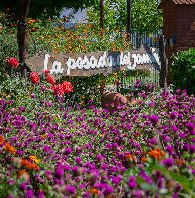 Lunch at La Posada del Jamón, Vista Flores (Tunuyan), Uco Valley