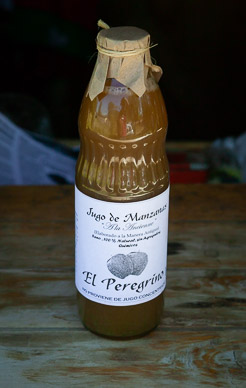 Stopping for organic apple juice, Uco Valley