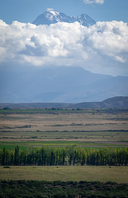 "Ruta de Andes" back to Mendoza