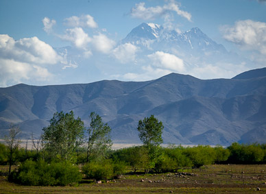 "Ruta de Andes" back to Mendoza