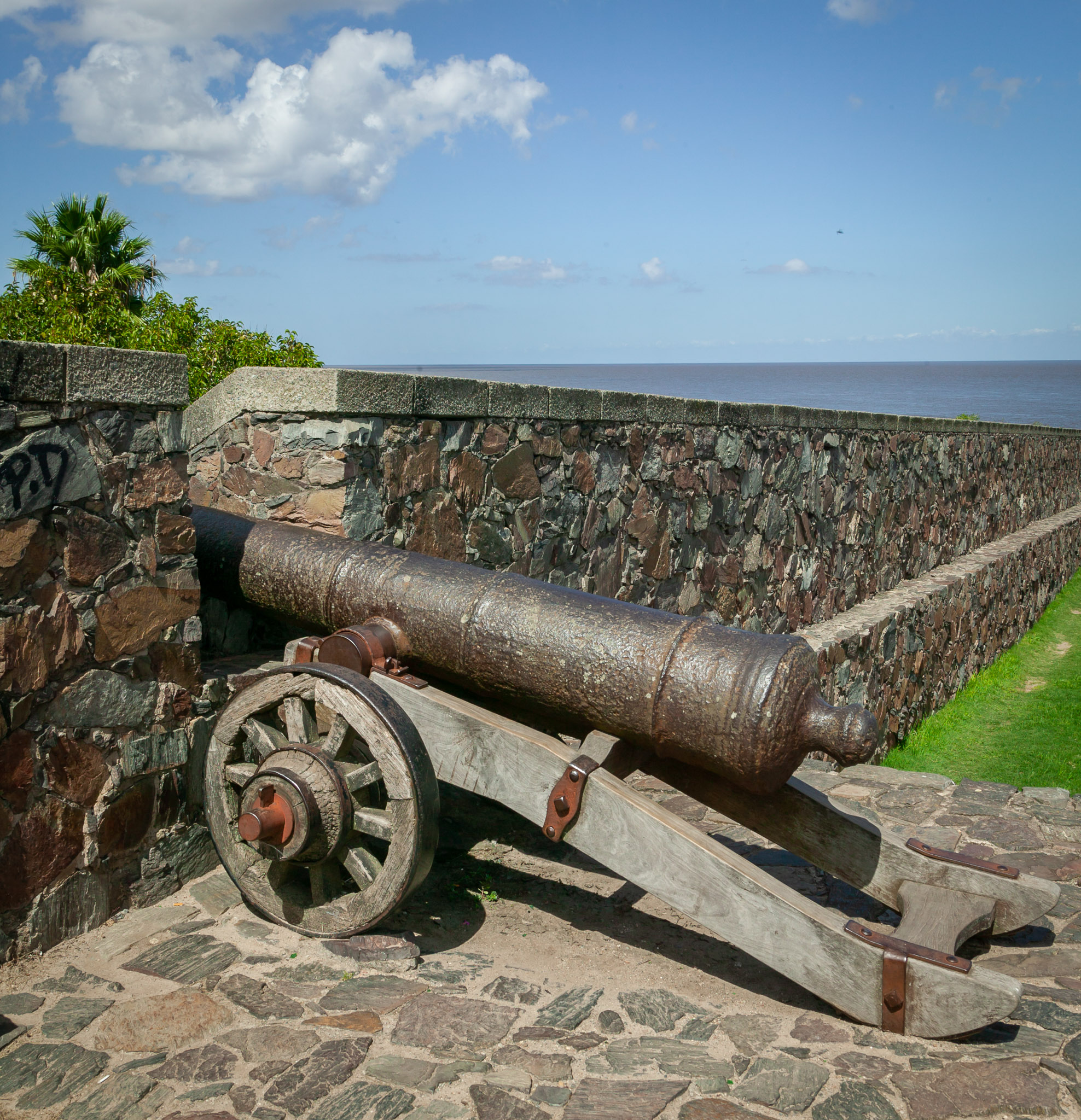 Colonia cannon
