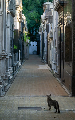 Cementerio de La Recoleta