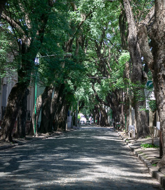 Suburb of San Isidro,  on the way to Tigre