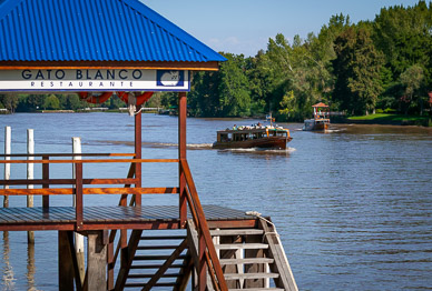 Public bus in Parana Delta