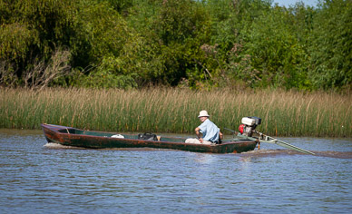 Exploring Parana Delta