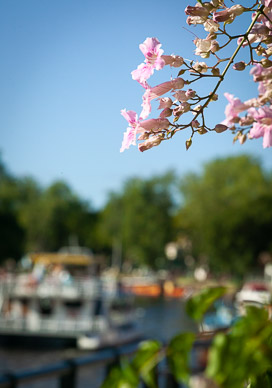 Exploring Parana Delta