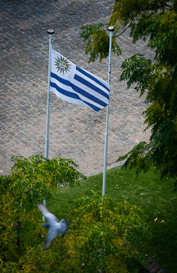 Uruguay flag