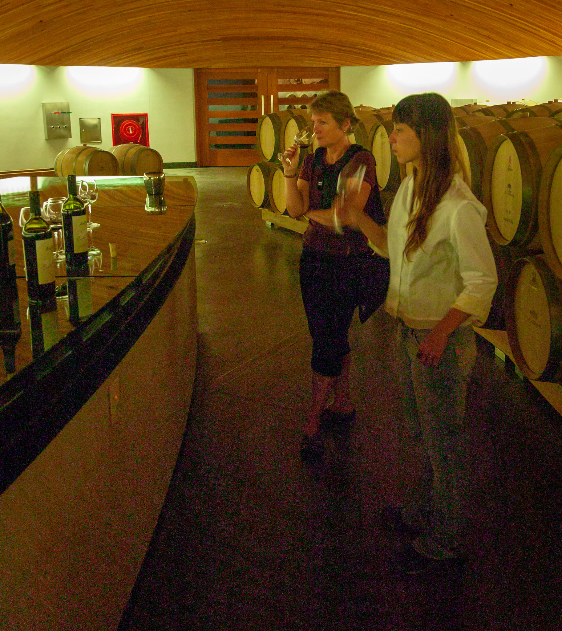 Wine tasting in lower barrel room at Clos Apalta
