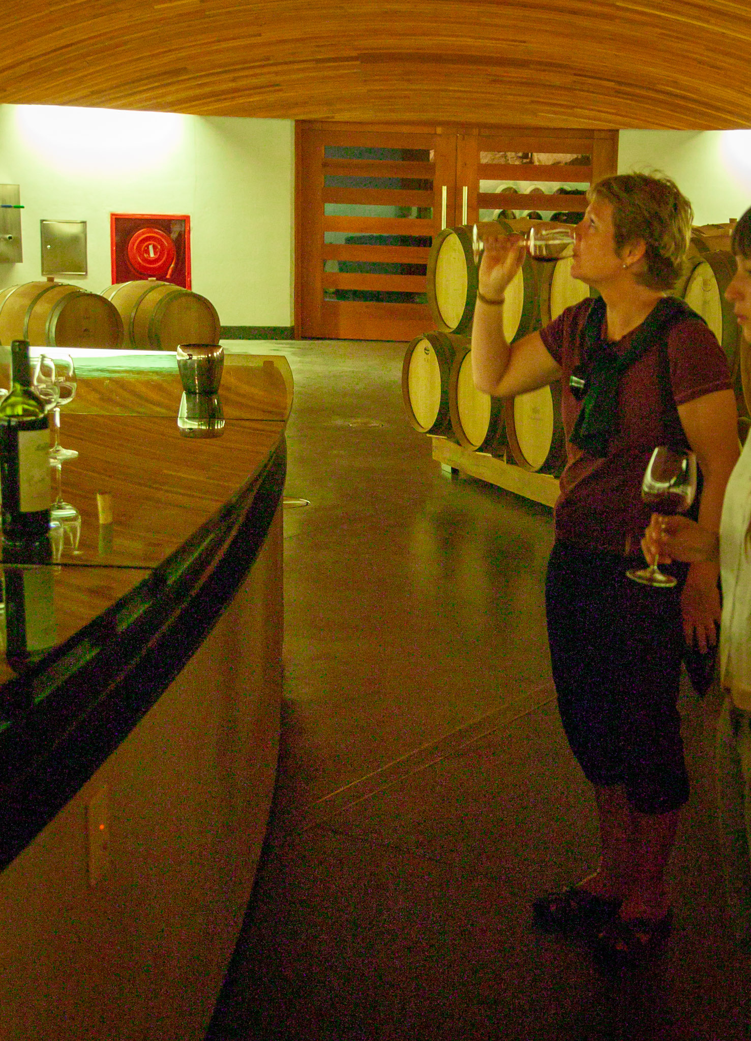 Wine tasting in lower barrel room at Clos Apalta