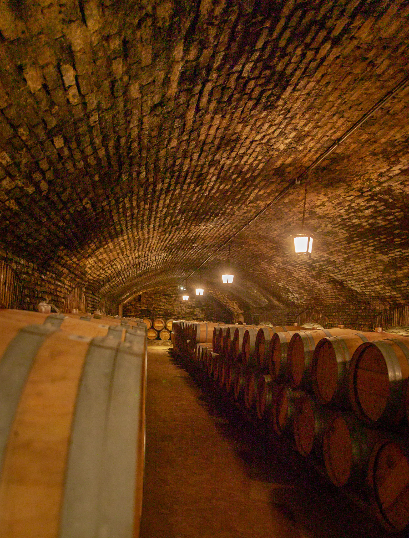 Concha y Toro Winery, Chile's oldest, Maipo Valley